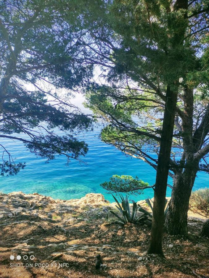 Villa Radic Makarska Eksteriør bilde